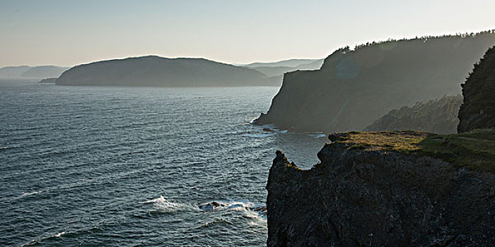 沿岸,悬崖,小路,港口,纽芬兰,拉布拉多犬,加拿大