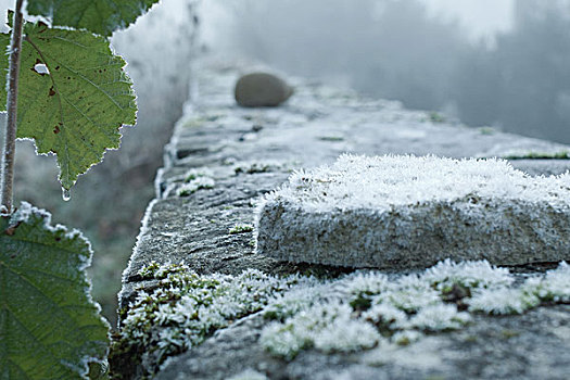 霜,遮盖,石墙