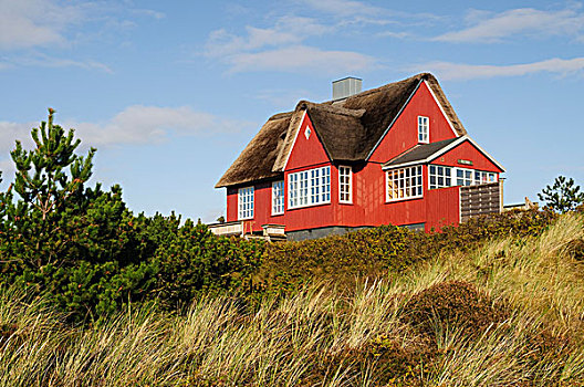 经典,茅草屋顶,房子,海滩,日德兰半岛,丹麦,欧洲