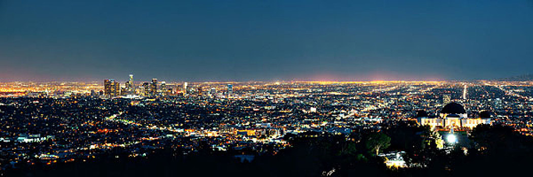 洛杉矶,夜晚,城市,建筑,观测