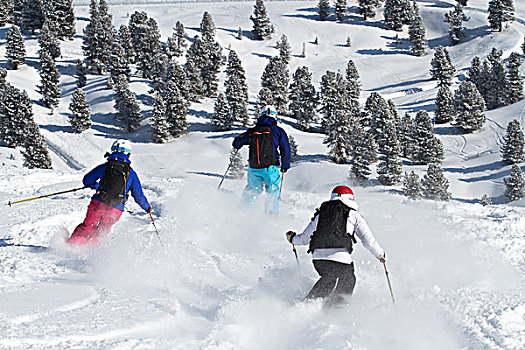 朋友,滑雪,粉状雪,奥地利
