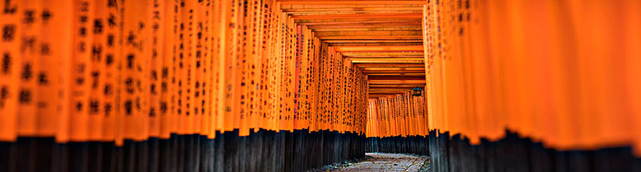 长,线条,黑色,橙色,传统,日本,神祠