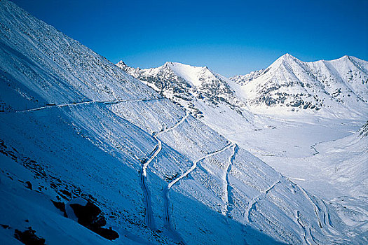 雪景