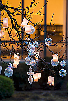 圣诞装饰,灯笼,树,花园