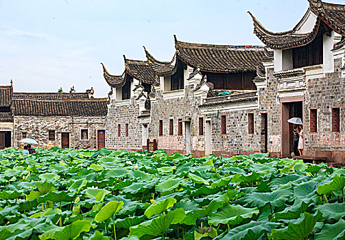 荷塘,古建筑,老房子,荷叶,荷花