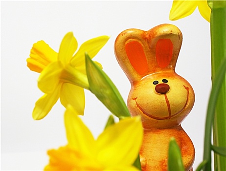 复活节兔子,花