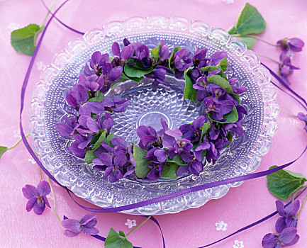 香堇菜,紫罗兰,花环