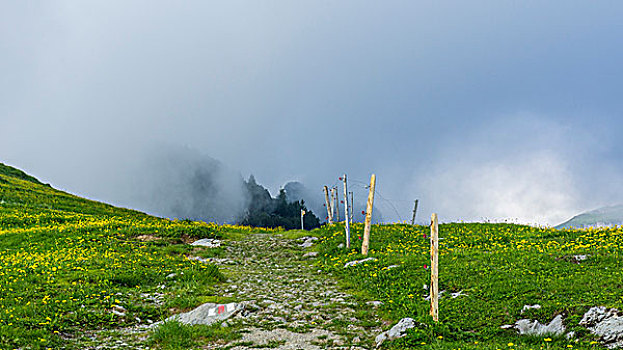 山地牧场,栅栏,山脉,瑞士,欧洲