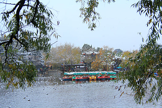 昆明翠湖公园雪景