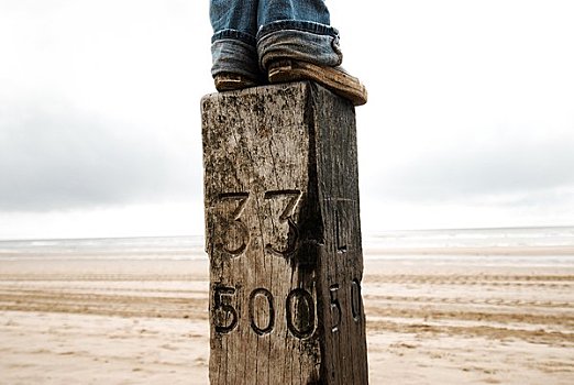 脚,站立,柱子,海滩,荷兰