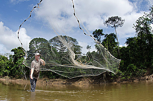 晃动,投掷,网,捕鱼,研究,河,国家公园,亚马逊雨林,厄瓜多尔