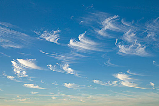 卷云,朴素,西澳大利亚州,澳大利亚