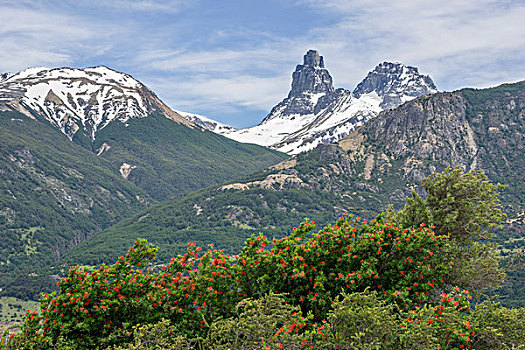 雪山,灌木,别墅,智利,南美