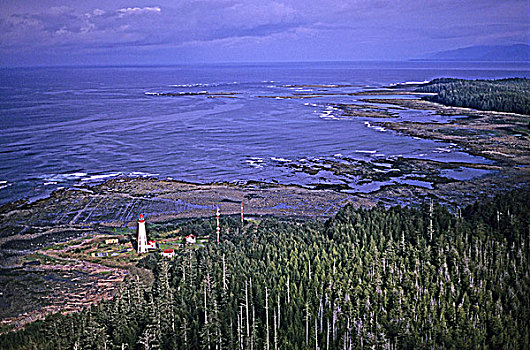 灯塔,最高,坐,半岛,温哥华,格里夸湾,不列颠哥伦比亚省,加拿大