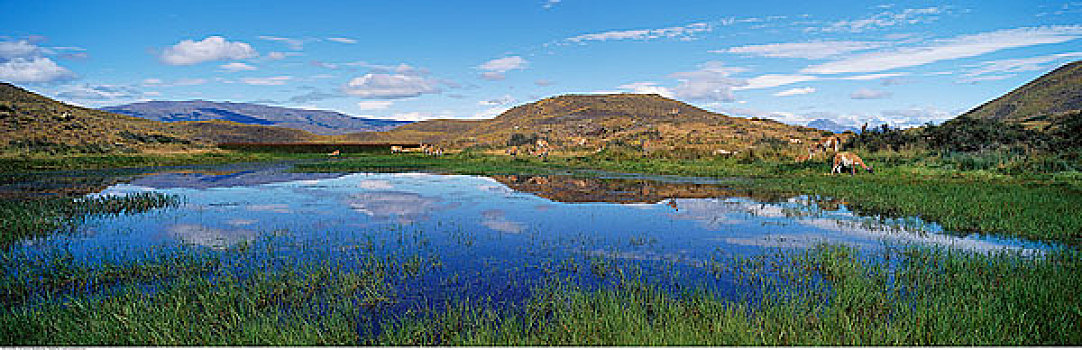 水潭,托雷德裴恩国家公园,智利