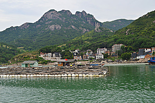 黄花鱼养殖基地