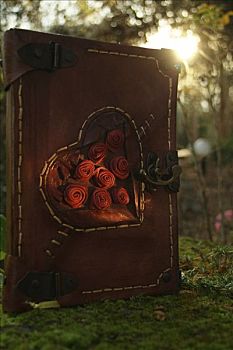 日记,红棕,皮革,封面,锁,装饰,花园