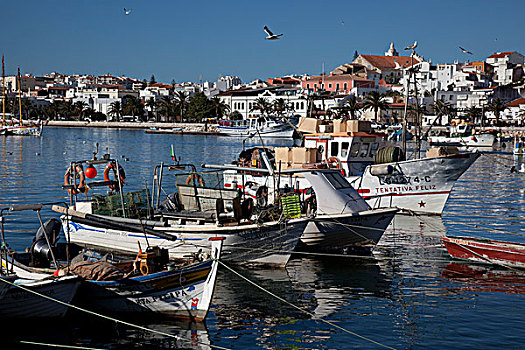 捕鱼,港口,船,拉各斯,阿尔加维,葡萄牙,欧洲
