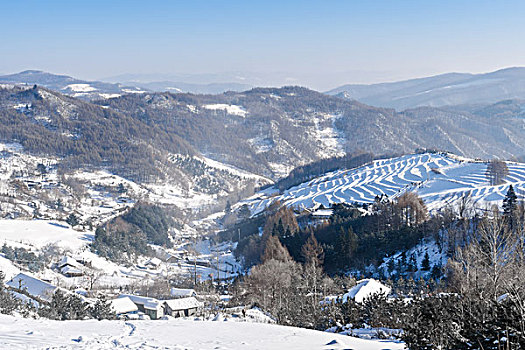 雪地,树林,村庄,雪村