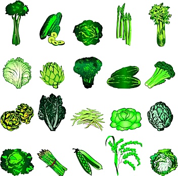 绿色,蔬菜