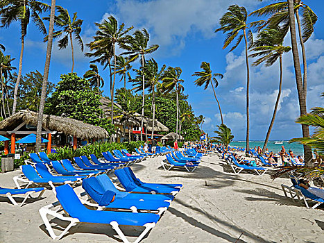 多米尼加共和国,酒店,海滩,加勒比,干盐湖,蓬塔卡纳