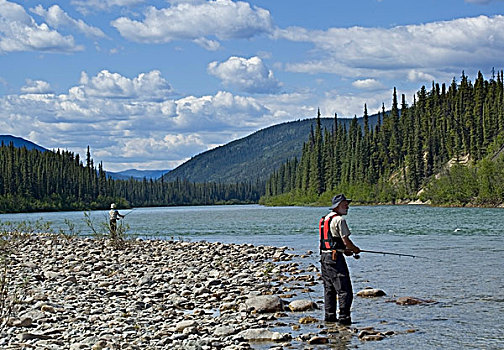 男人,捕鱼,河,砾石,山峦,后面,育空地区,加拿大