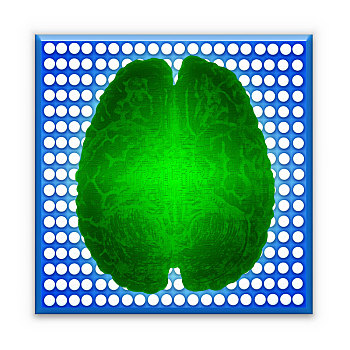 人工智能,高科技,概念,绿色,发光,大脑,上方,蓝色,微芯片,隔绝,白色背景,背景