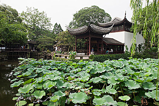 花园,苏州,江苏,中国