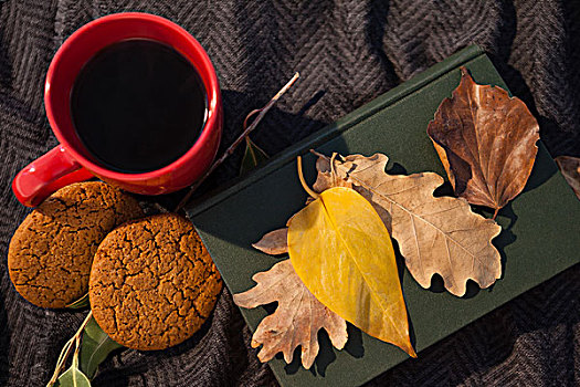 黑咖啡,饼干,日记,秋叶,毛织品,毯子,上方