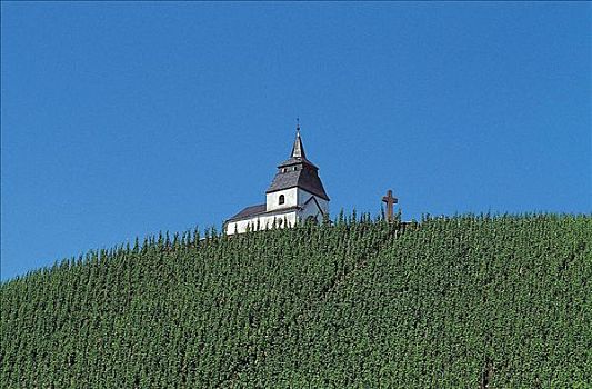 小,小教堂,葡萄酒,地点,靠近,德国,欧洲,乡村,田园,藤