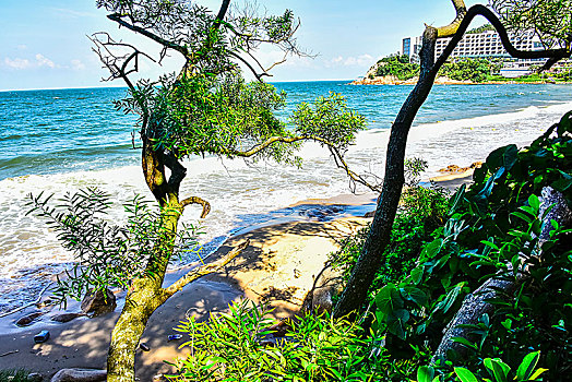 珠海东澳岛--比邻澳门的海边海景