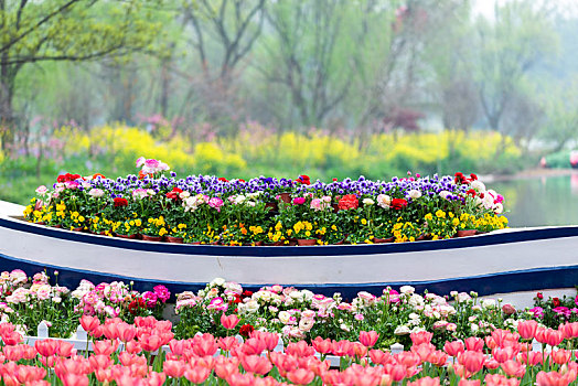 春天的南京中山植物园
