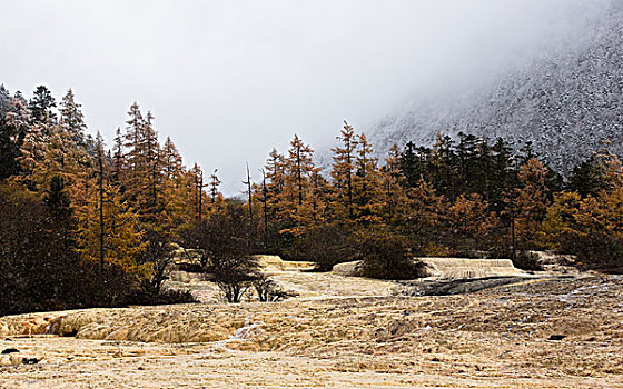 川西黄龙雪景