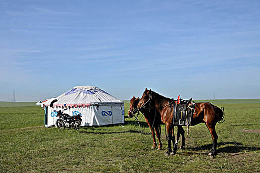 内蒙古呼伦贝尔陈巴尔虎旗草原参加那达慕会的牧民蒙古包