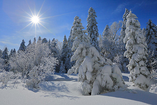 吉林省,国家森林公园,雪景