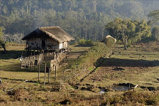 竹子,农舍,少数民族,北方,克钦邦,缅甸,亚洲