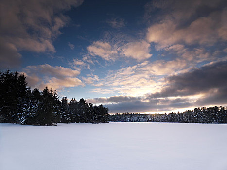 冰冻,湖,遮盖,雪,夜光,阿尔冈金省立公园,安大略省,省,加拿大,北美