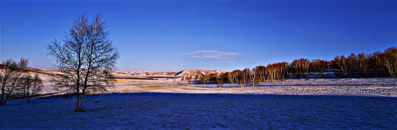 冬日原野图片
