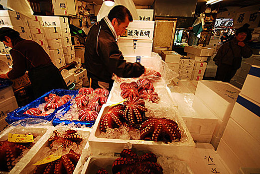 章鱼,筑地,鱼市,一个,最大,批发,鱼肉,海鲜,市场,世界,东京,日本,二月,2008年