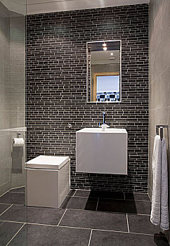 镜子,高处,壁装式,盥洗池,靠近,卫生间,区域,浴室