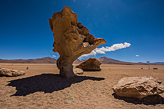 玻利维亚乌尤尼盐湖山区石头树