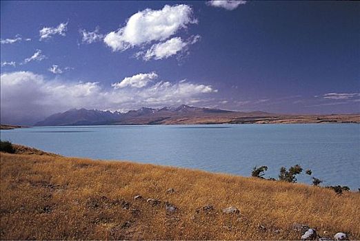 普卡基湖,南岛,新西兰