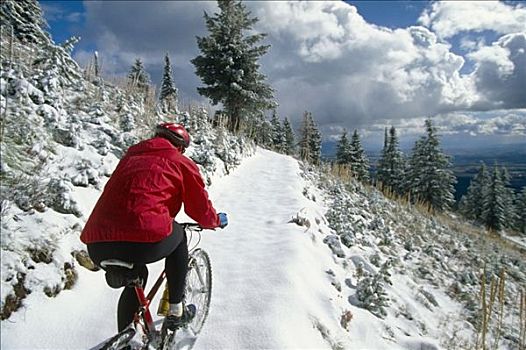 冬天,自行车,小路,蒙大拿