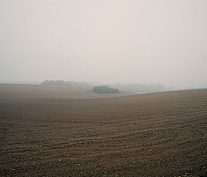 雾状,风景