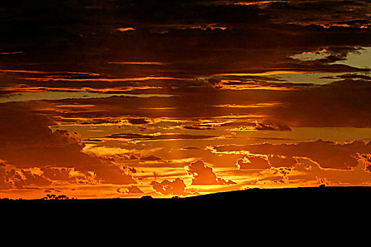 日落,天空,西北地区,澳大利亚