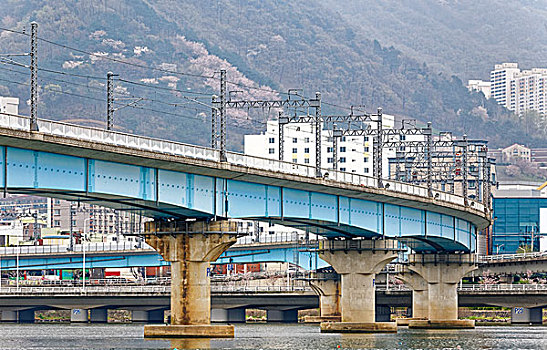 列车,桥,河,城市,背景,釜山