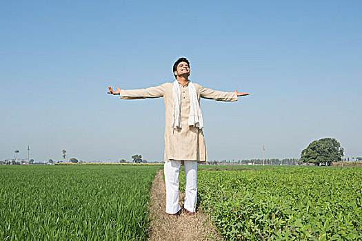 农民,站立,伸展胳膊,土地,印度