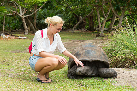 游客,喂食,巨龟,岛屿,塞舌尔