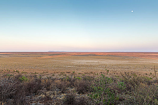 日出,上方,埃托沙国家公园,纳米比亚