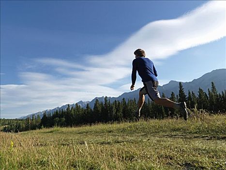 小路,跑步者,半空,阿尔卑斯草甸,山地,后面,加拿大,艾伯塔省